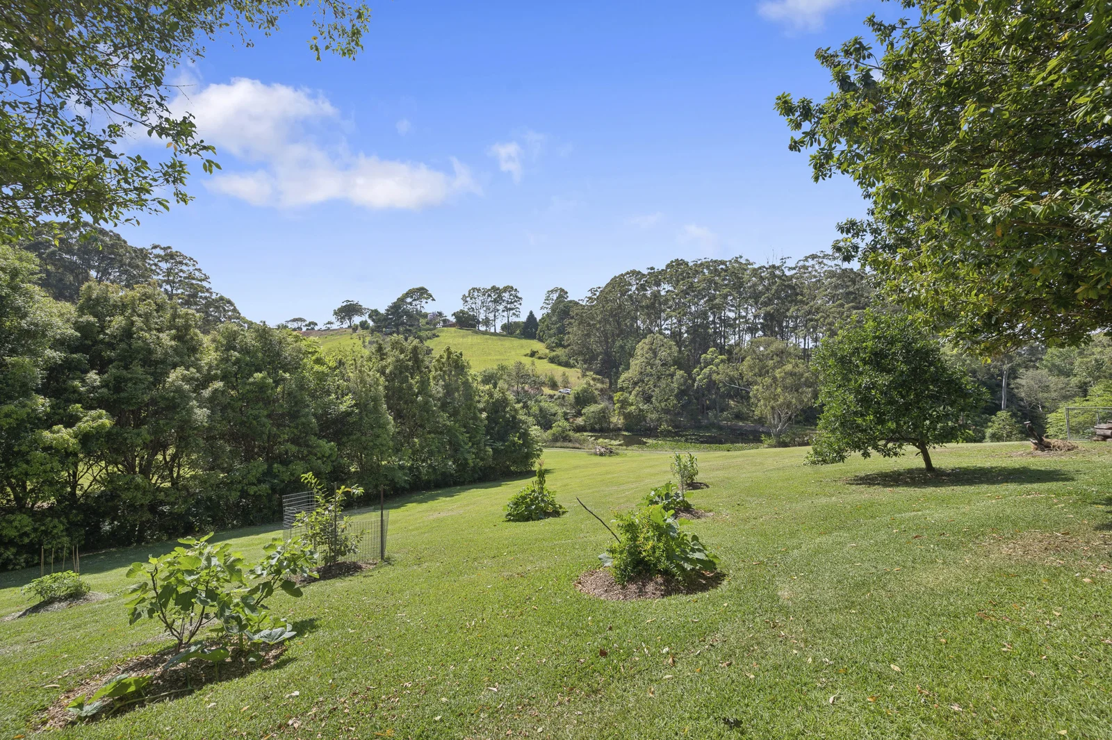 Additional image 21 of 66 Old Coast Road, Korora NSW 2450