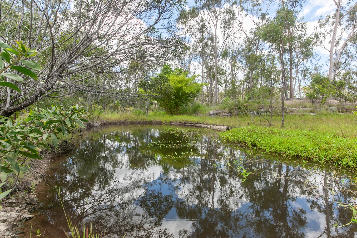 Additional image 25 of 608 Cross Rd, Euleilah QLD 4674