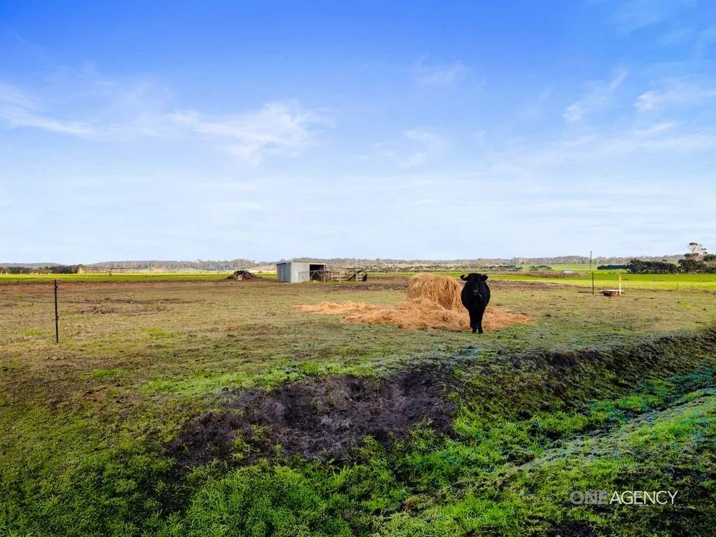 Additional image 15 of 549 Montagu Road, Smithton TAS 7330