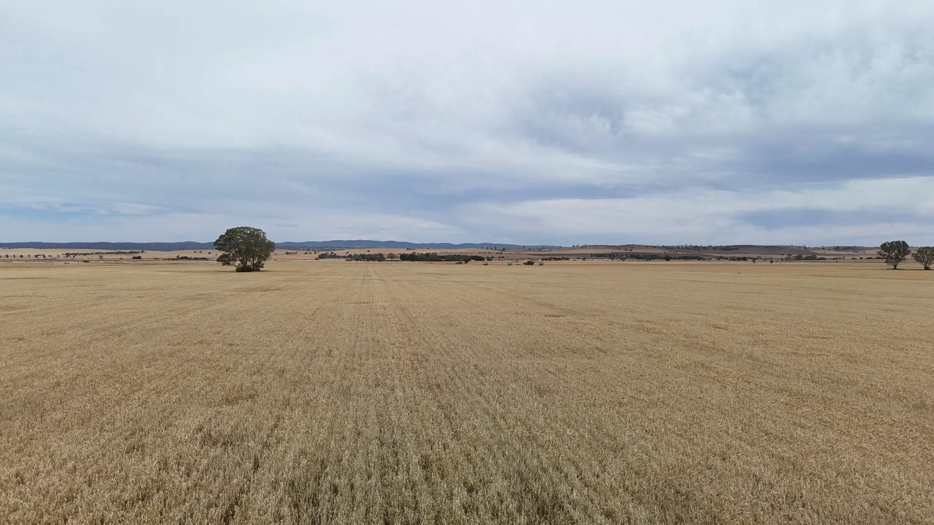 Additional image 10 of 1005 Appila-Laura Rd, Appila SA 5480