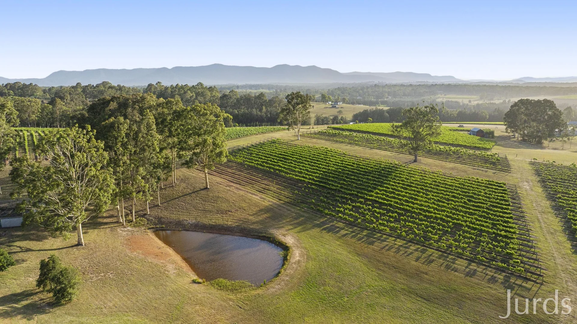 Additional image 20 of 110 Old North Road, Pokolbin NSW 2320