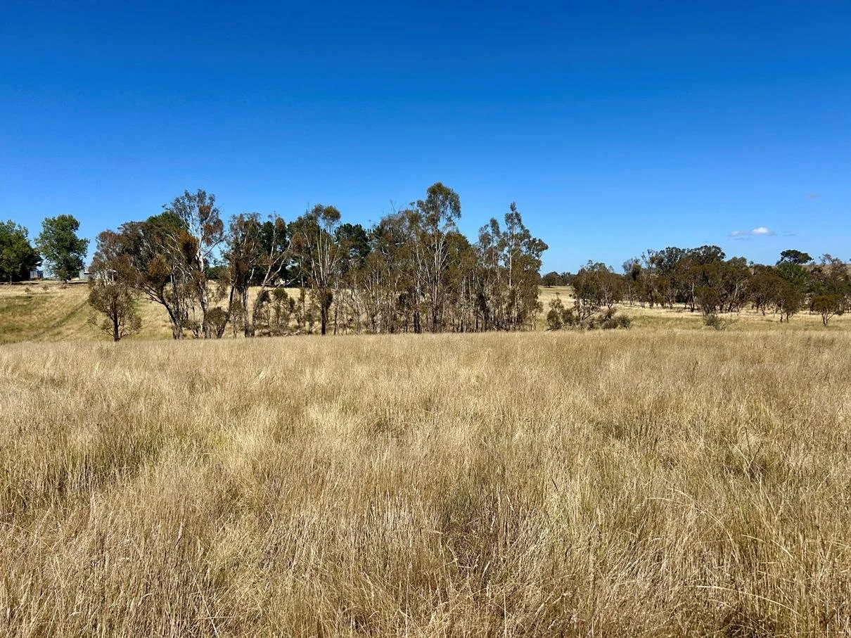 Additional image 24 of 42 Mabbotts Lane, Kentucky NSW 2354