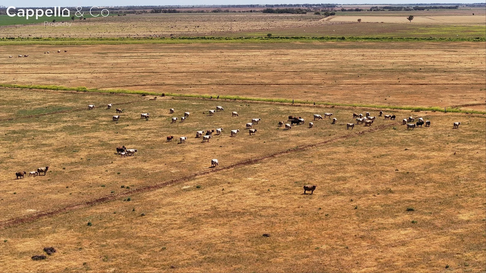 Additional image 5 of 348 Chittick Road, Warrawidgee NSW 2680