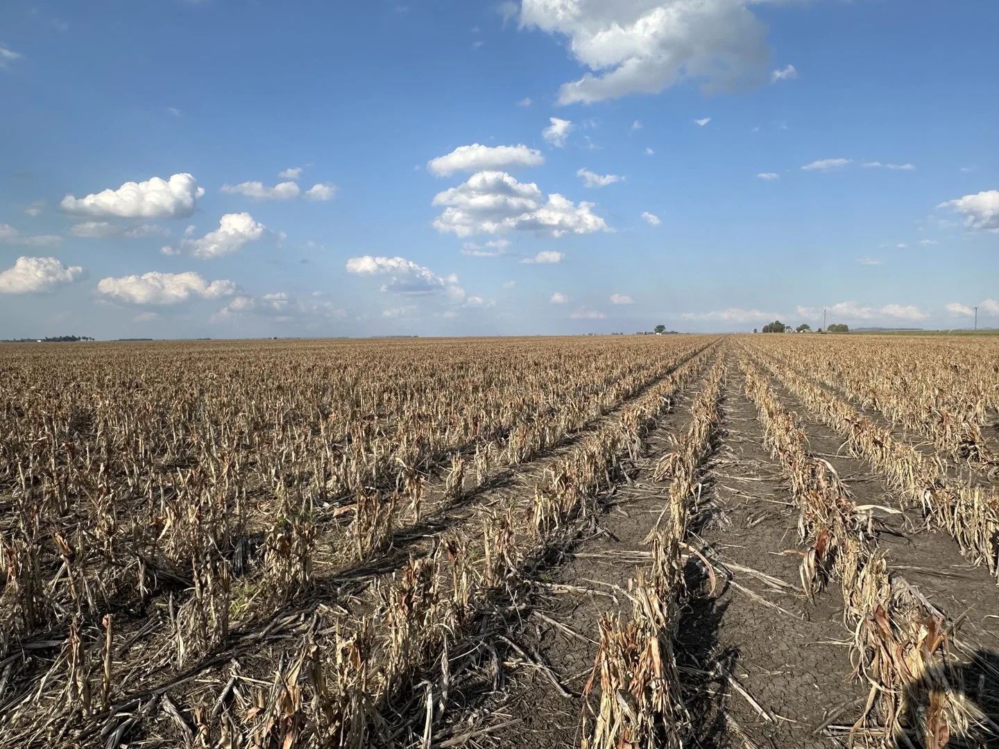 Additional image 2 of 2094 West Prairie Road, West Prairie QLD 4403