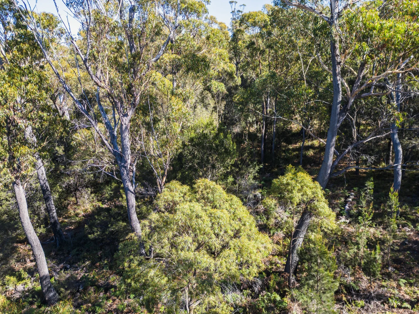 Additional image 6 of 691 Binalong Bay Road, St Helens TAS 7216