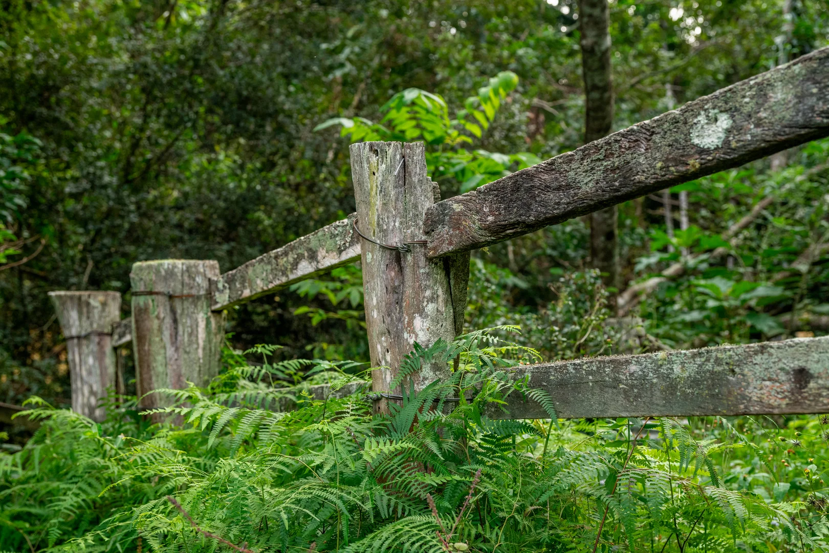 Additional image 48 of Sleepy Hollow NSW 2483