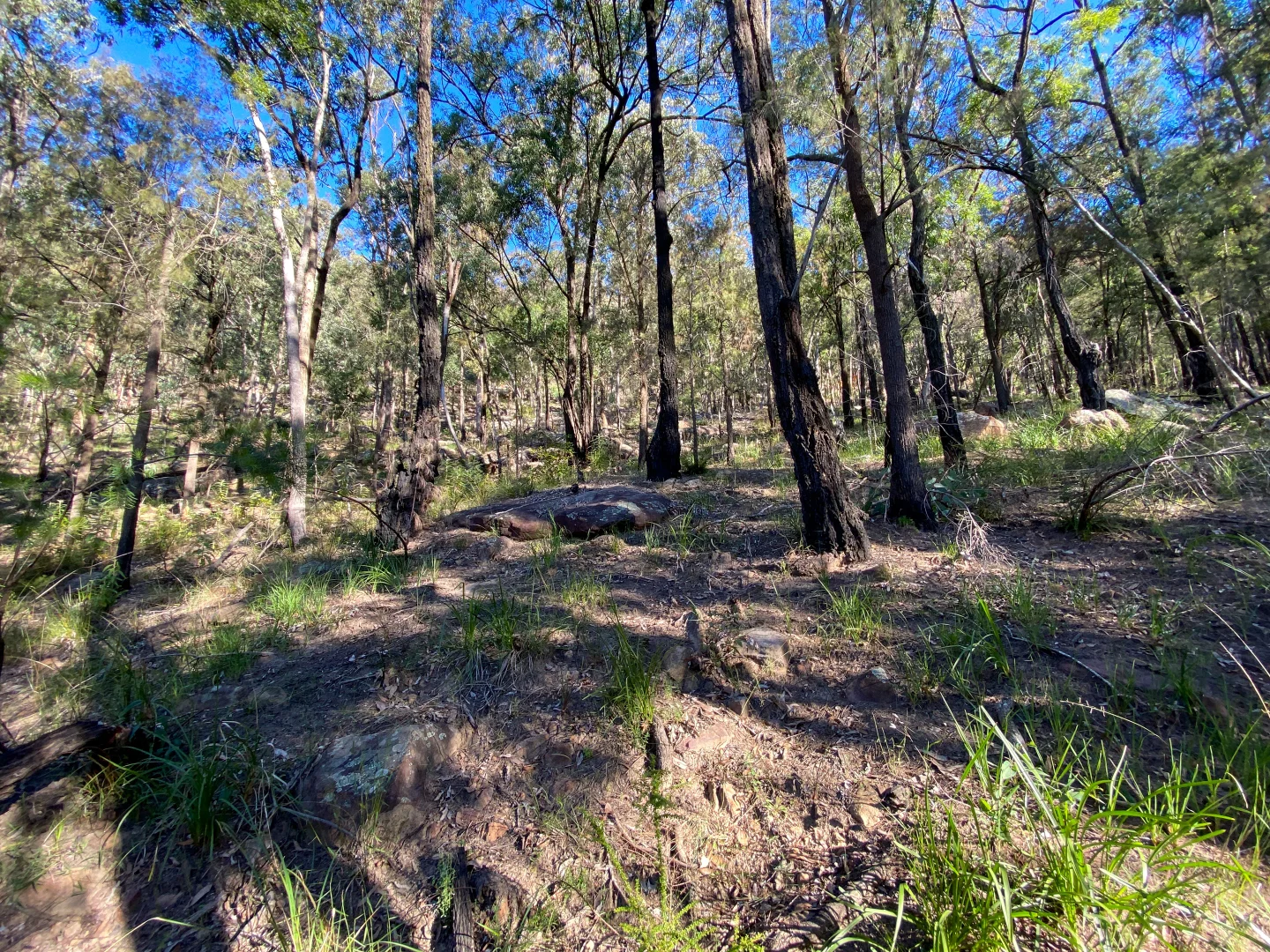 Additional image 6 of 1997 St Albans Rd, St Albans NSW 2775