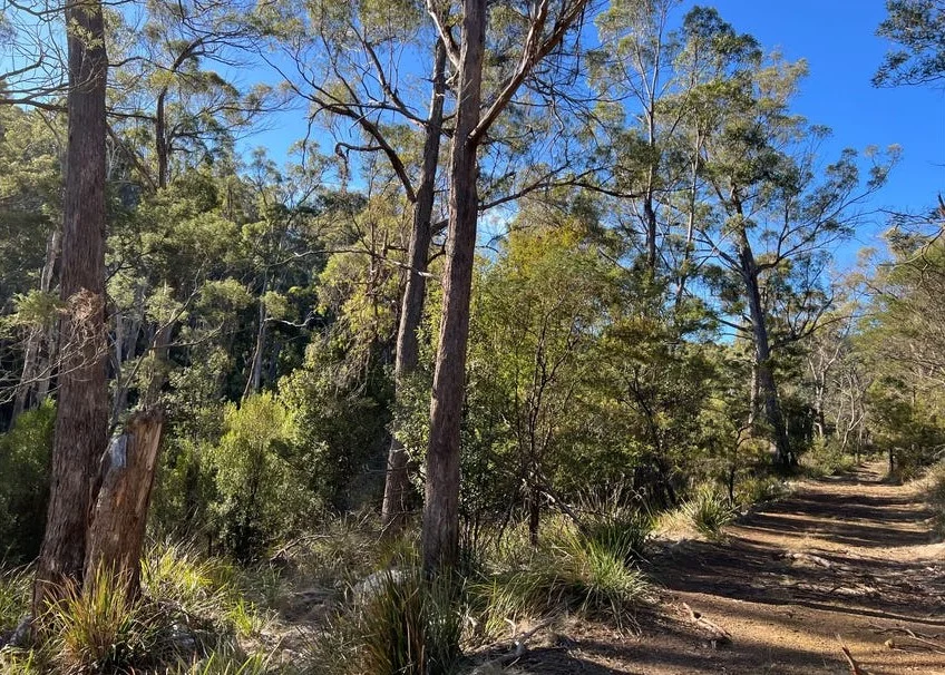 Additional image 4 of 2204 East Tamar Highway, Mount Direction TAS 7252