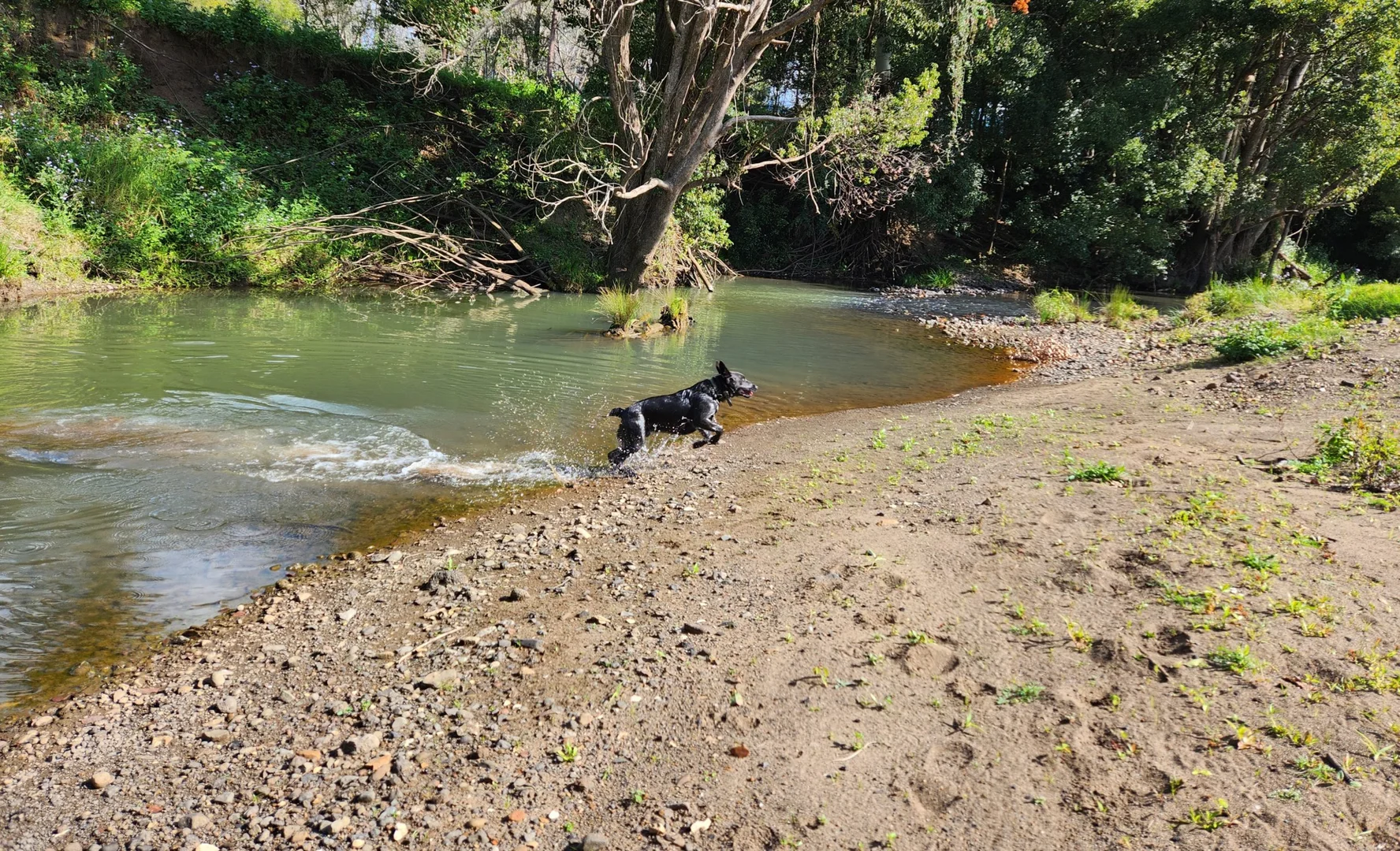 Additional image 31 of 30 Larkins Road, Tyalgum NSW 2484