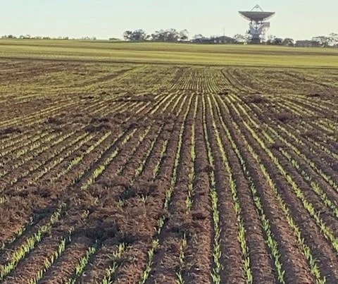 Additional image 3 of 2944 OTC Road, Wandana SA 5690