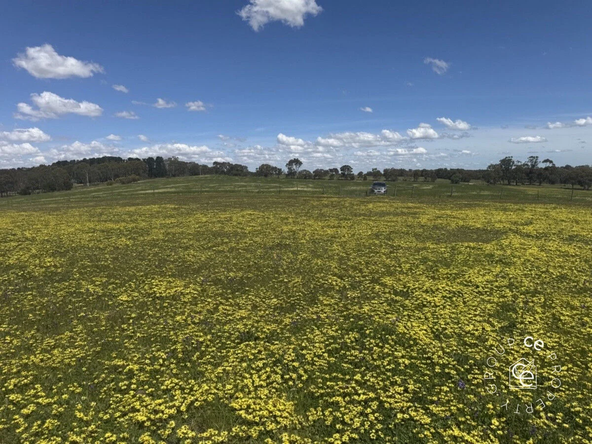 Additional image 10 of Lot 631 Burns Road, Mount Pleasant SA 5235