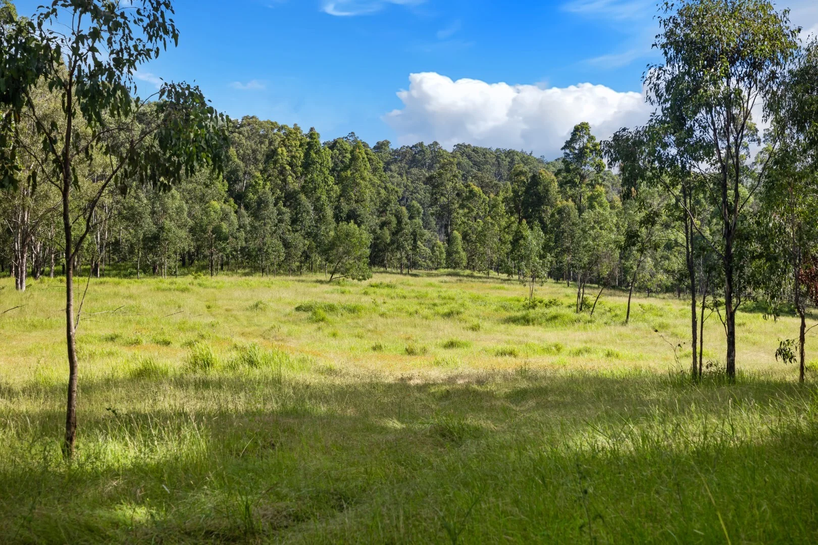 Additional image 8 of 62-69 Duck Creek Road, Bonalbo NSW 2469