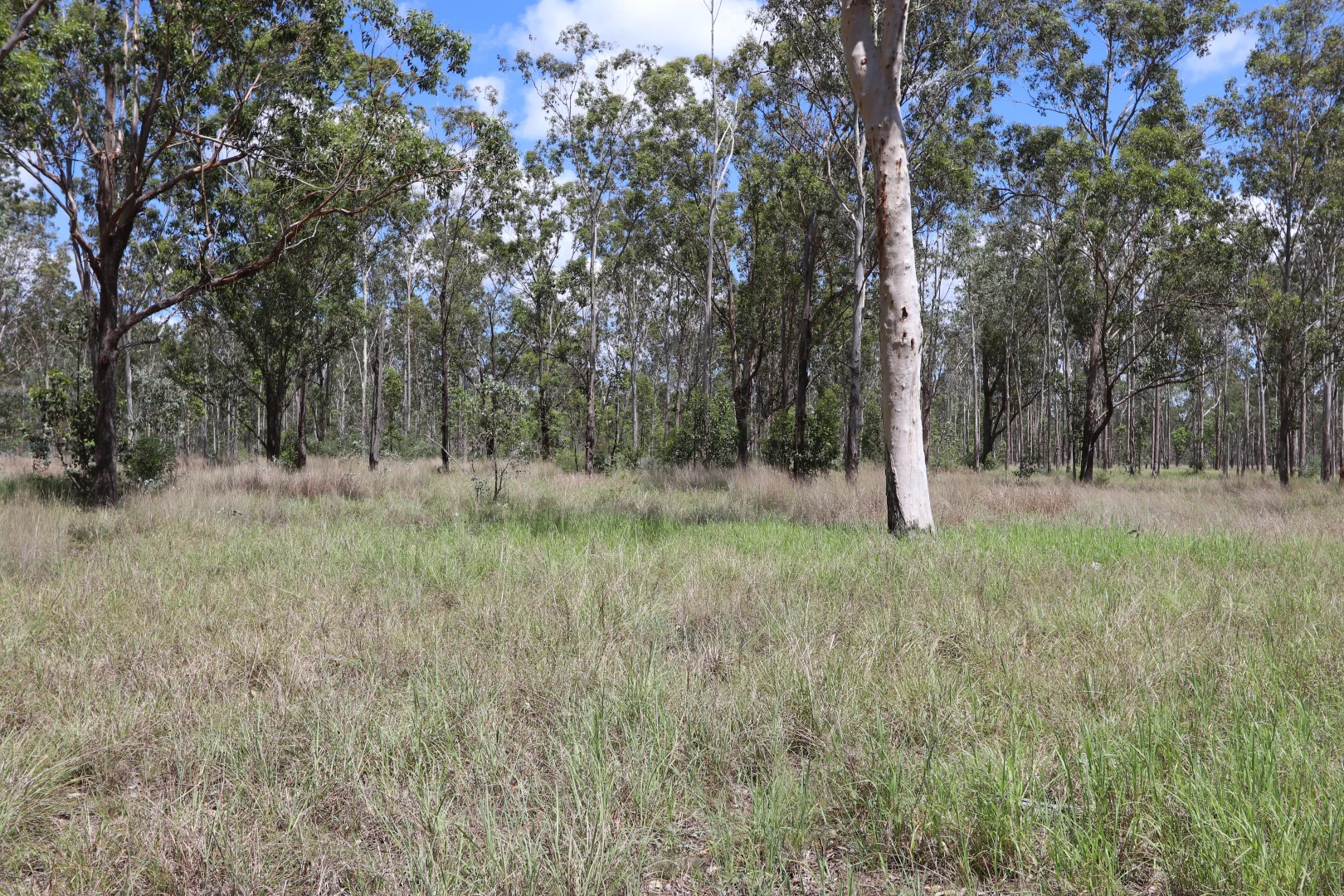 Additional image 18 of 330 Doonside Road, Jardine QLD 4702