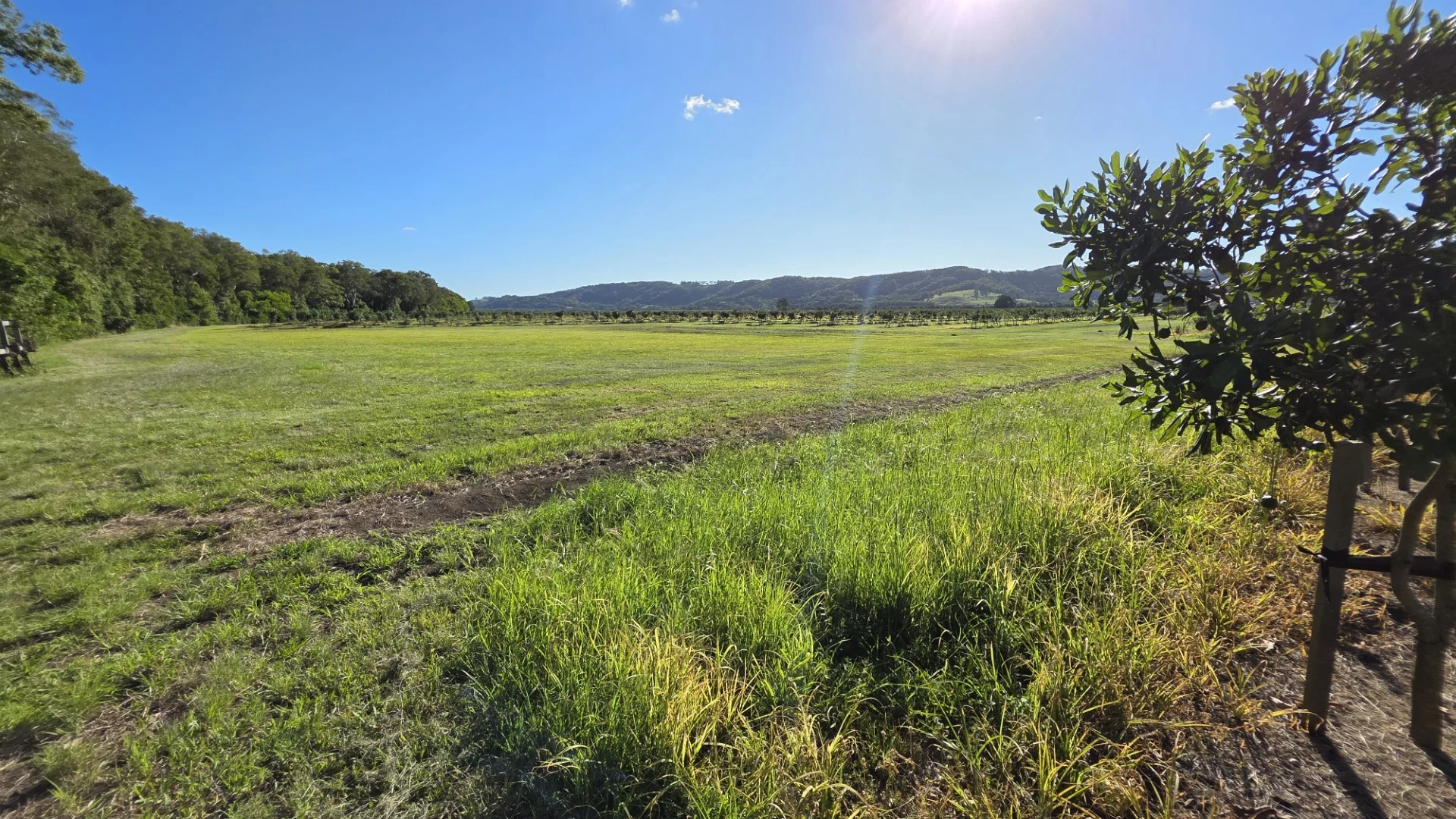 Additional image 12 of 292 Pimlico Road, Pimlico NSW 2478