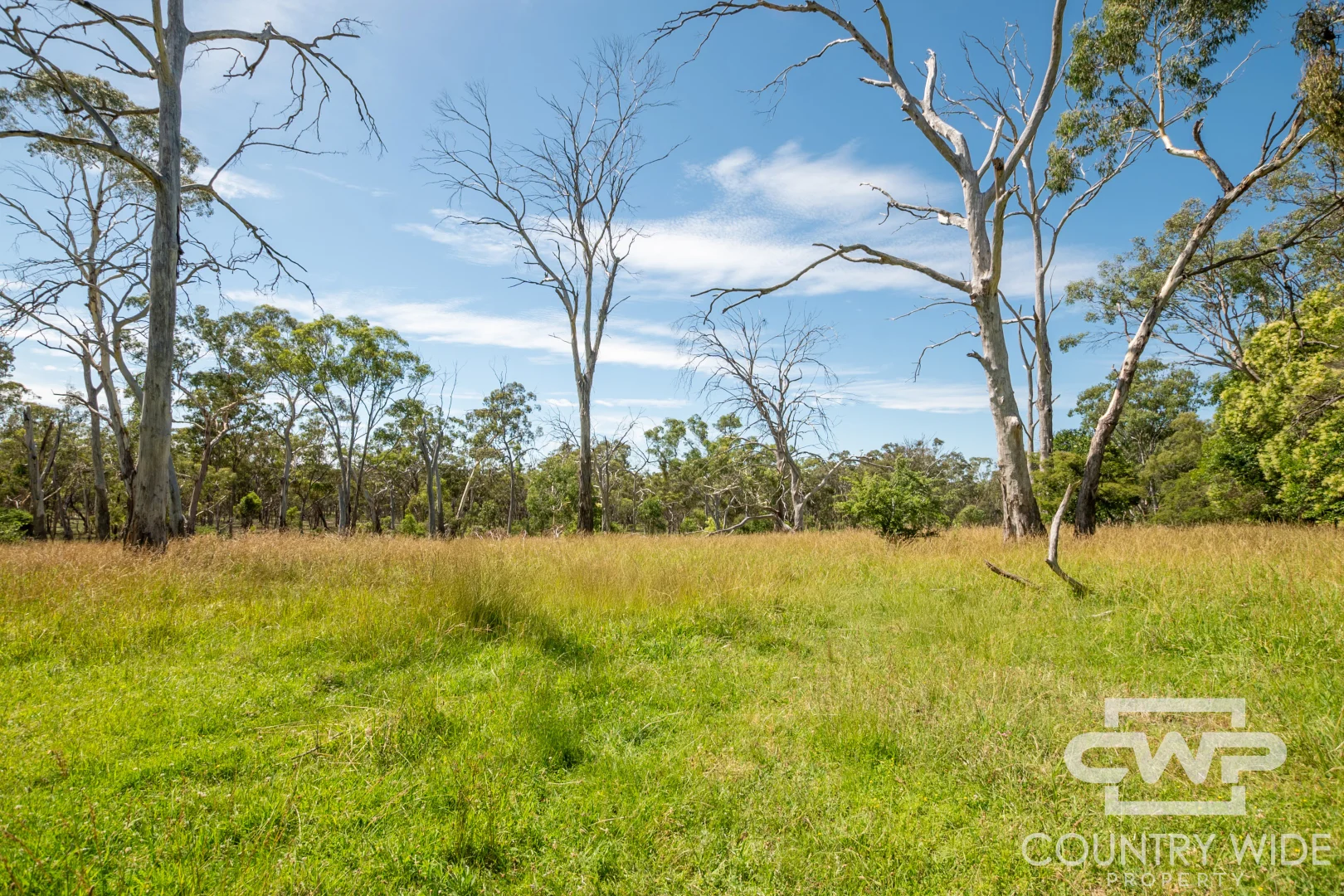 Additional image 6 of 1460 Torrington Road, Stannum NSW 2371