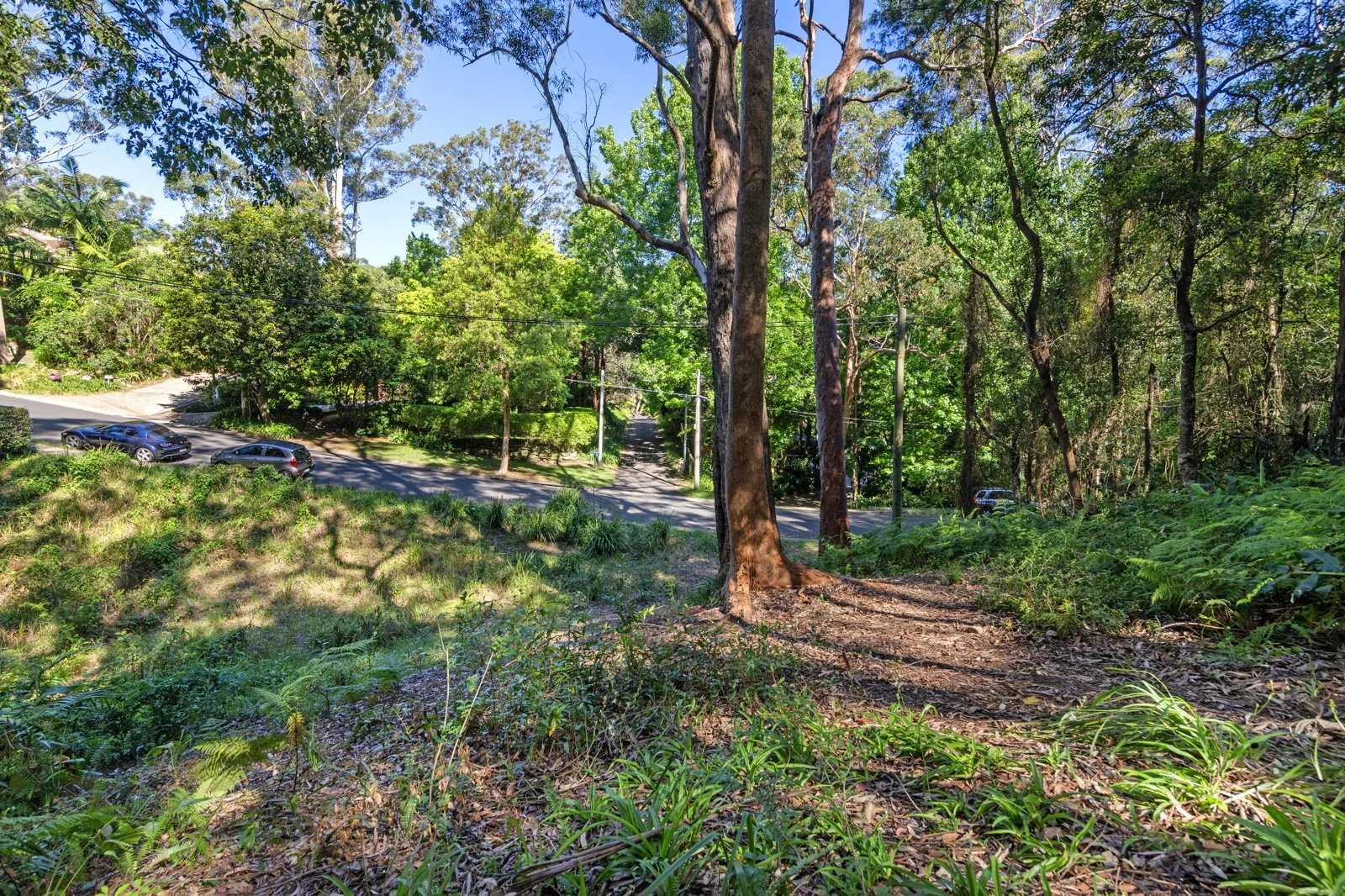 Additional image 8 of 49 Finlay Road, Warrawee NSW 2074
