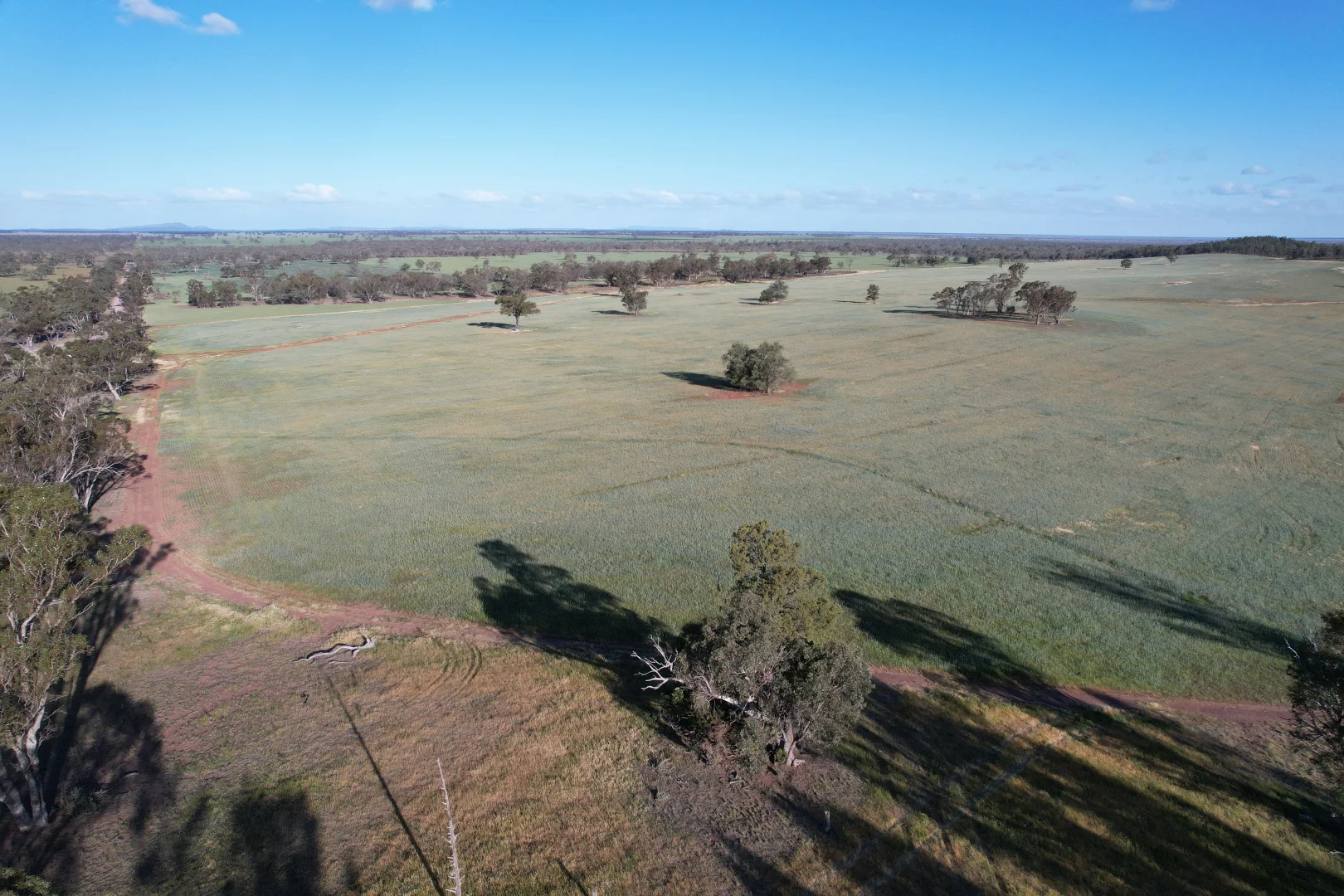 Additional image 4 of 1404 Lake Cowal, Forbes NSW 2871