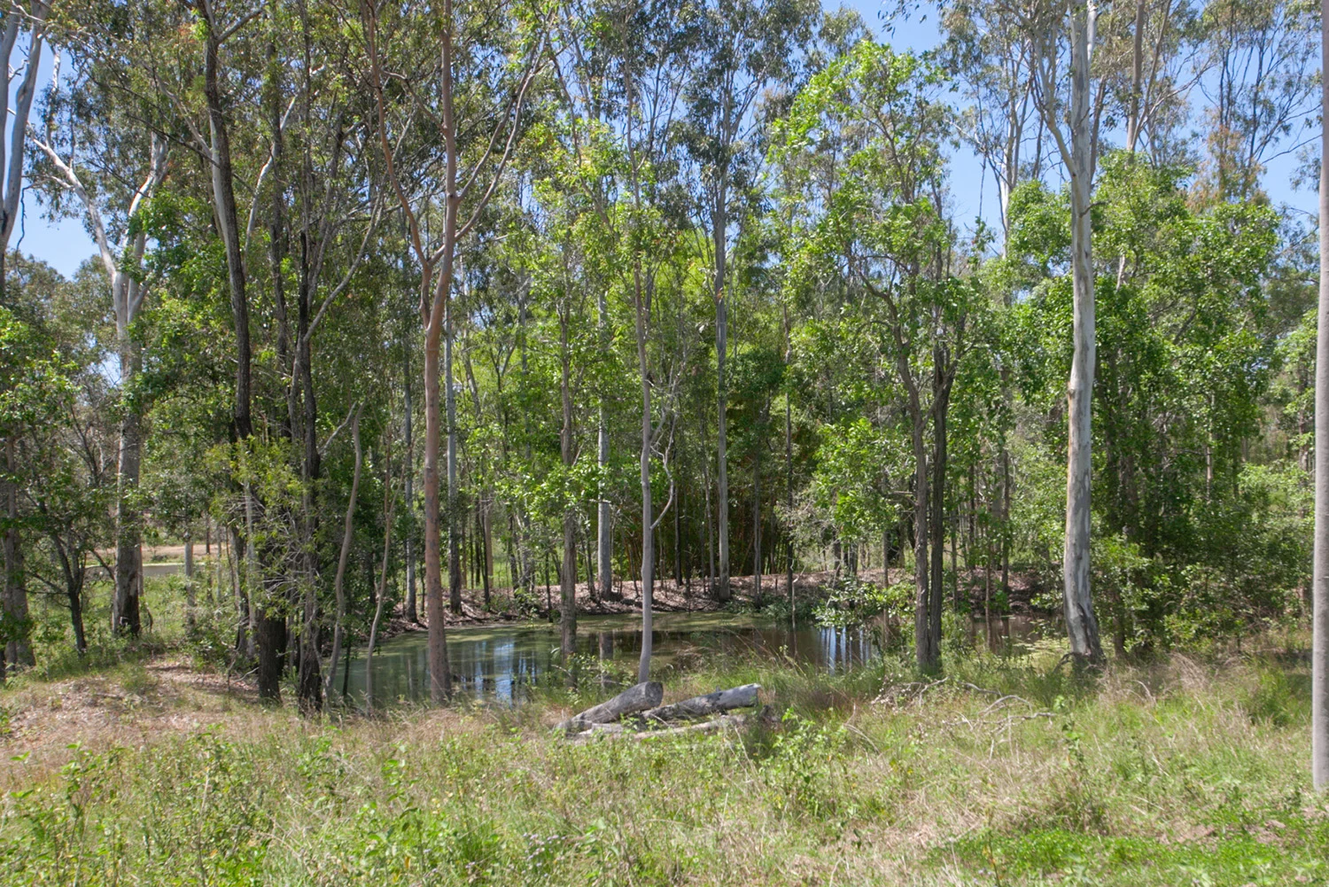 Additional image 41 of 608 Cross Rd, Euleilah QLD 4674
