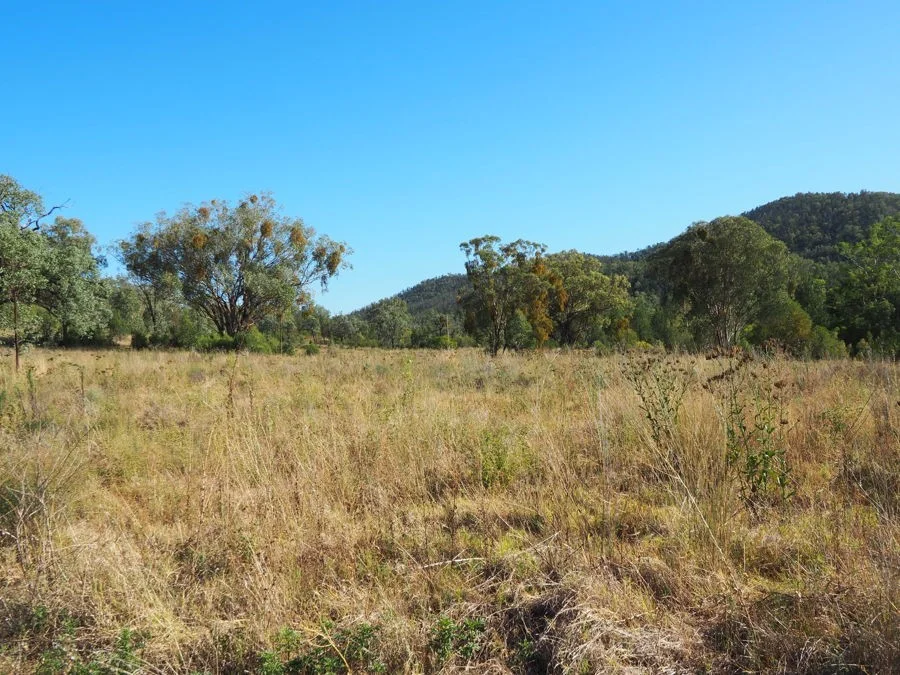 Additional image 18 of 8 White Street, Bingara NSW 2404