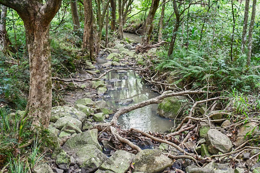 Additional image 2 of 293 Stewart Road, Coondoo QLD 4570