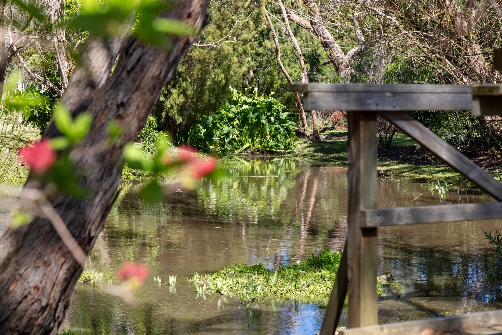 Additional image 27 of 97 Coombes Road, Torquay VIC 3228