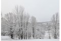 Additional image 28 of 474 Dibble Rd, Hobart, NY, 13788