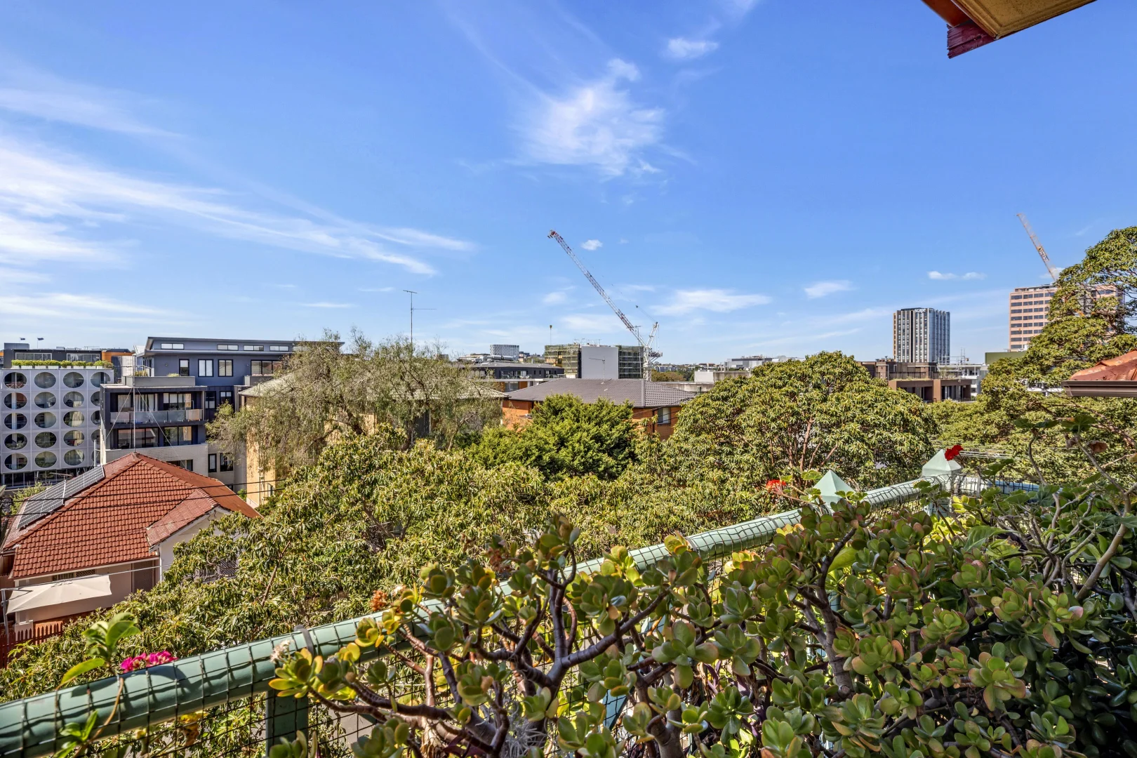 Additional image 8 of 40 Boronia Street, Kensington NSW 2033