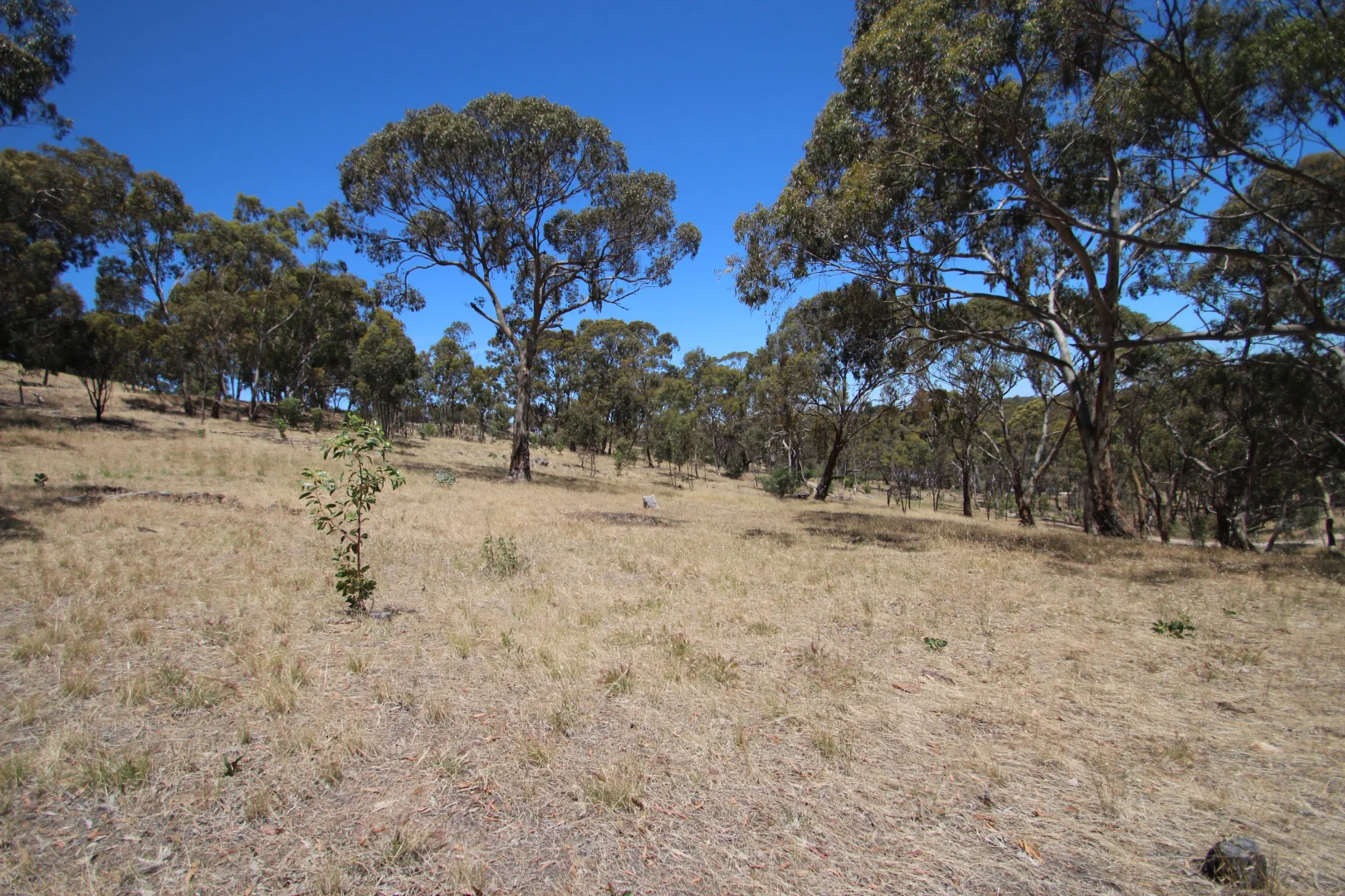 Additional image 18 of Lot 44 Norman Drive, Stanley Flat SA 5453