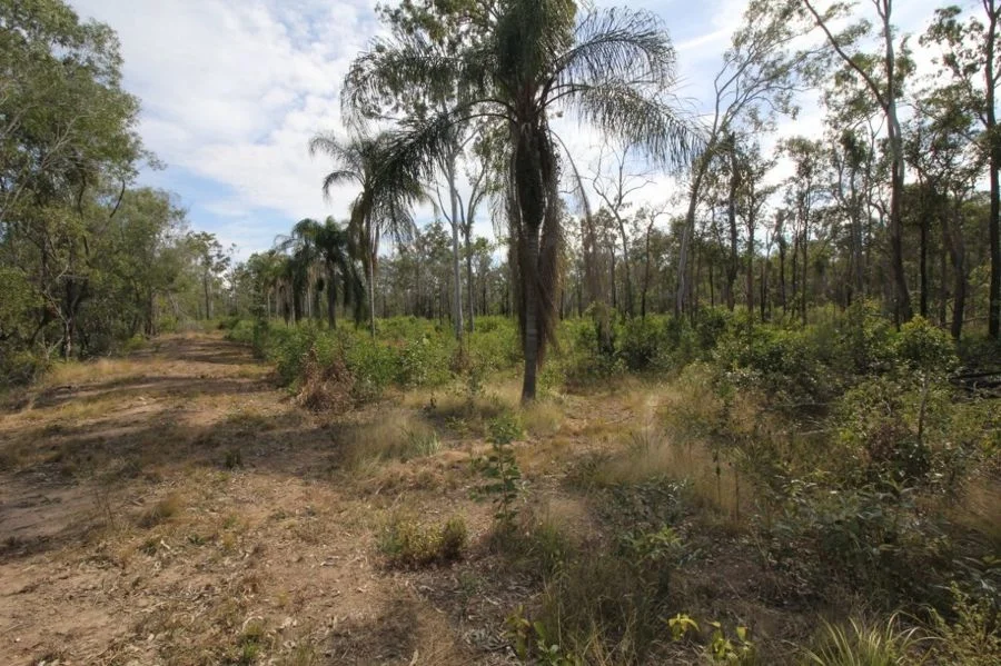 Additional image 32 of 310 MOLLENHAGENS ROAD, Winfield QLD 4670