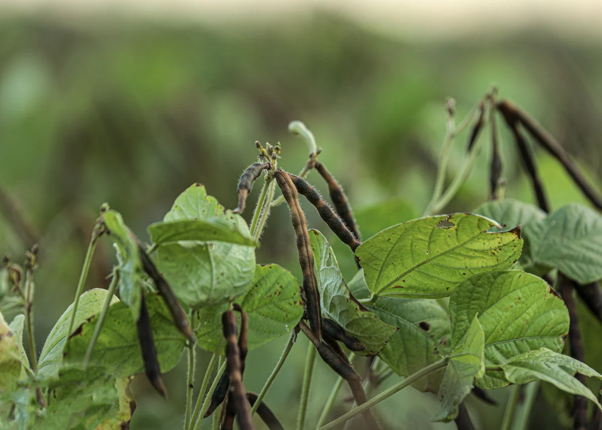 Additional image 3 of 19 - 'Kelinda'/1411 Moura-Bindaree Road, Moura QLD 4718
