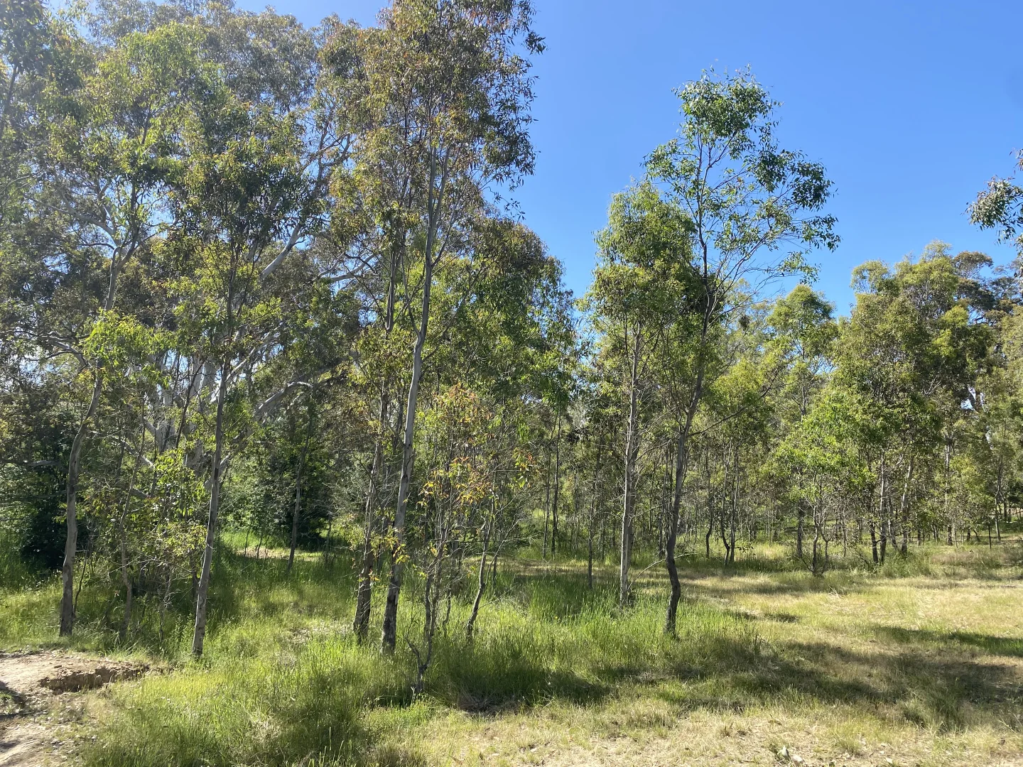 Additional image 8 of 9 Lew Ton Circuit, Alexandra VIC 3714