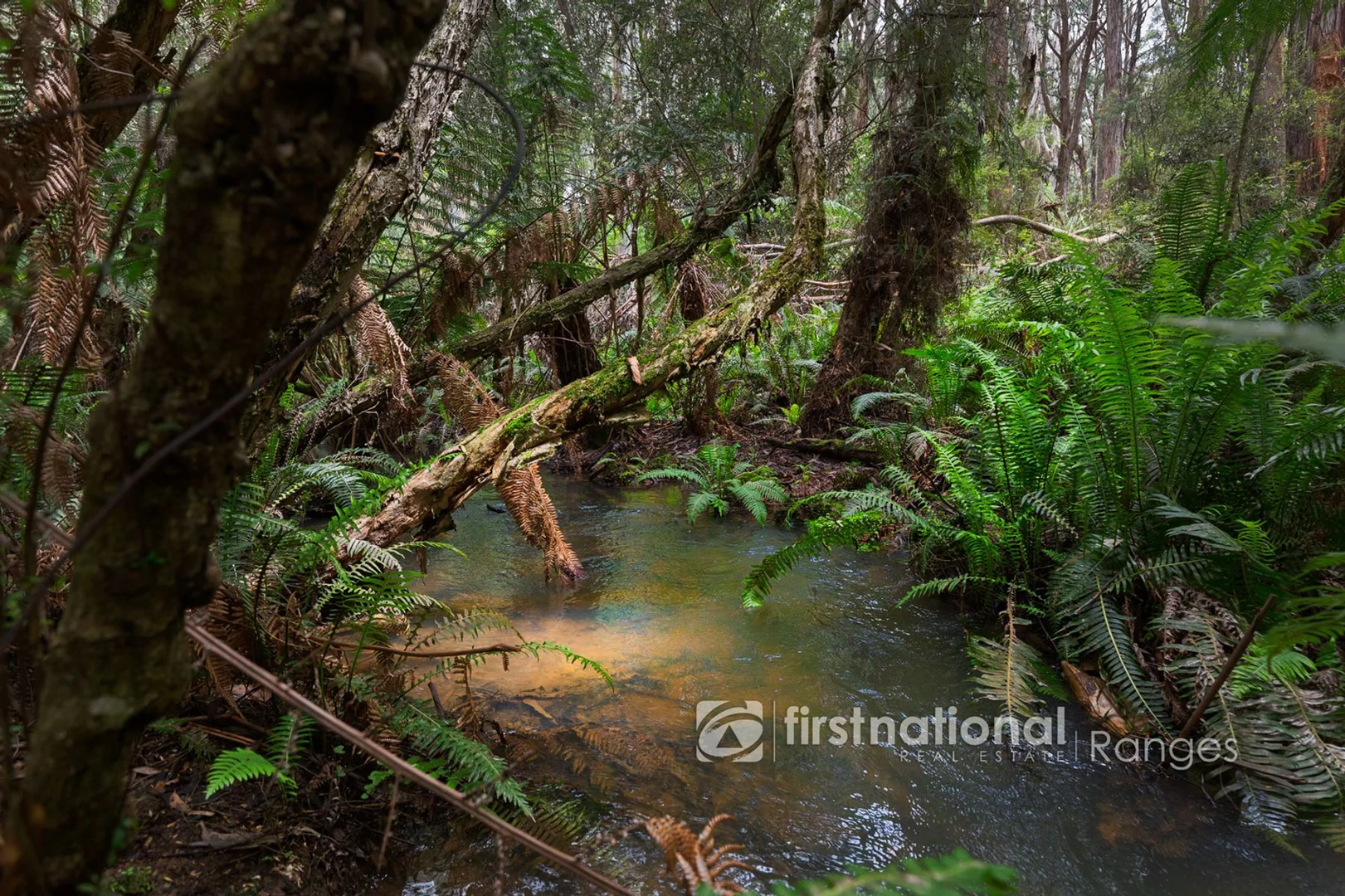 Additional image 4 of 171 Stewart Road, Emerald VIC 3782