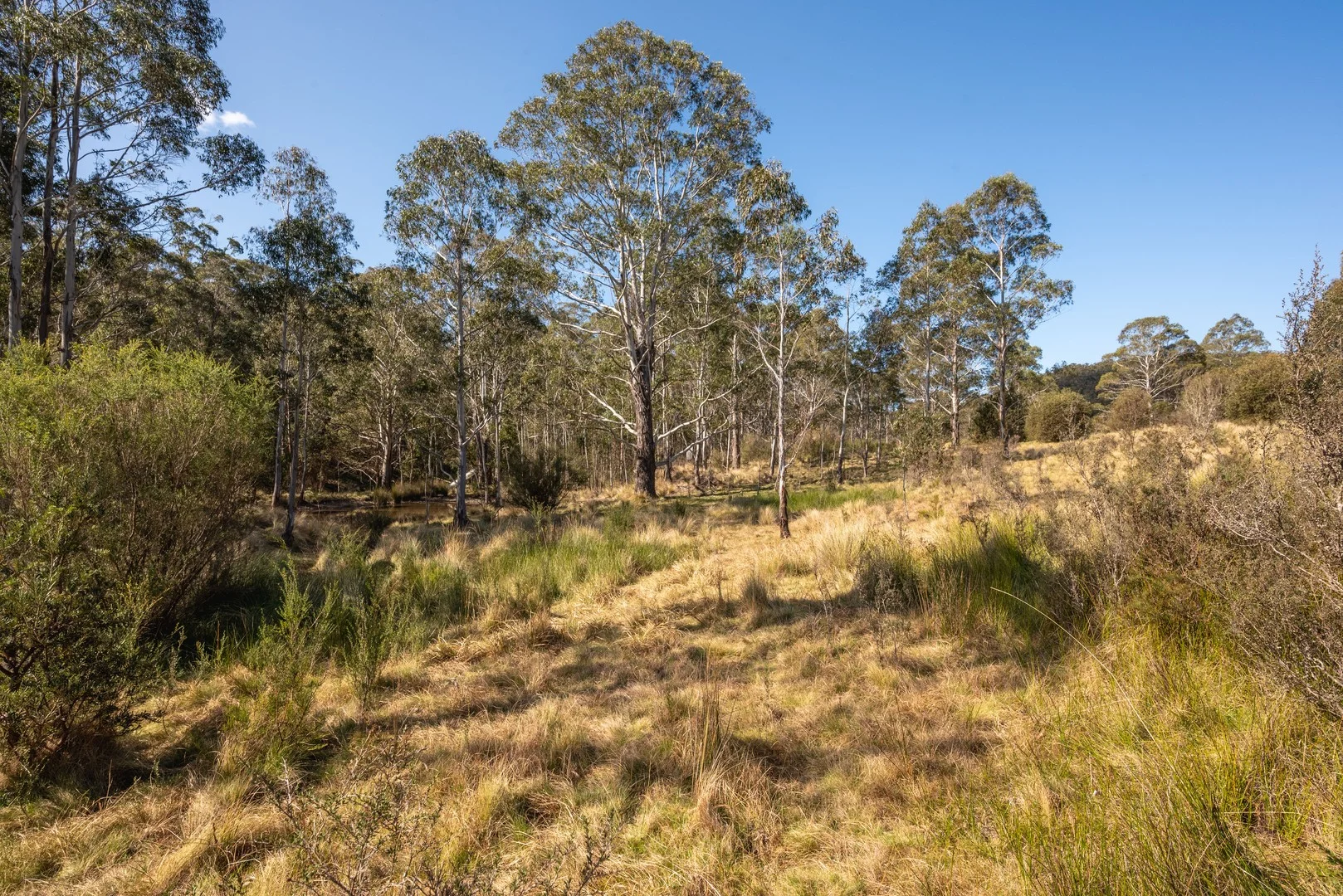 Additional image 11 of 153 Blue Bush Road, Wyanbene NSW 2622