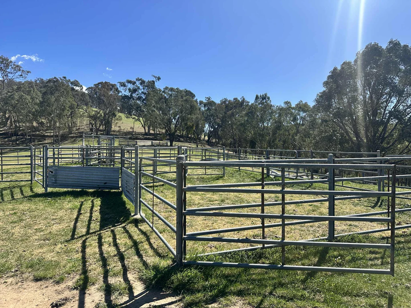 Additional image 4 of 317 Ambyne Road, Deddick Valley VIC 3888