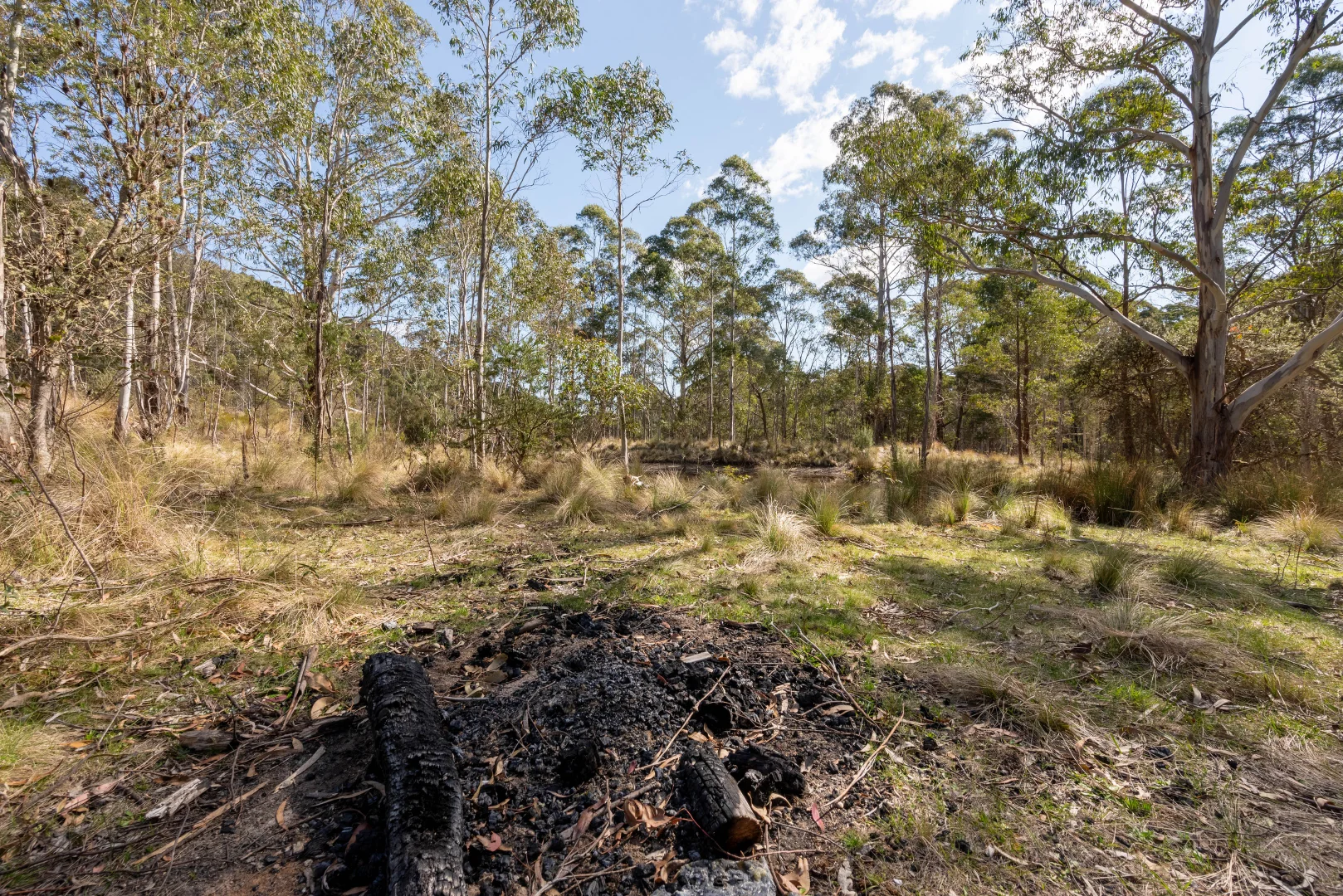 Additional image 23 of 153 Blue Bush Road, Wyanbene NSW 2622