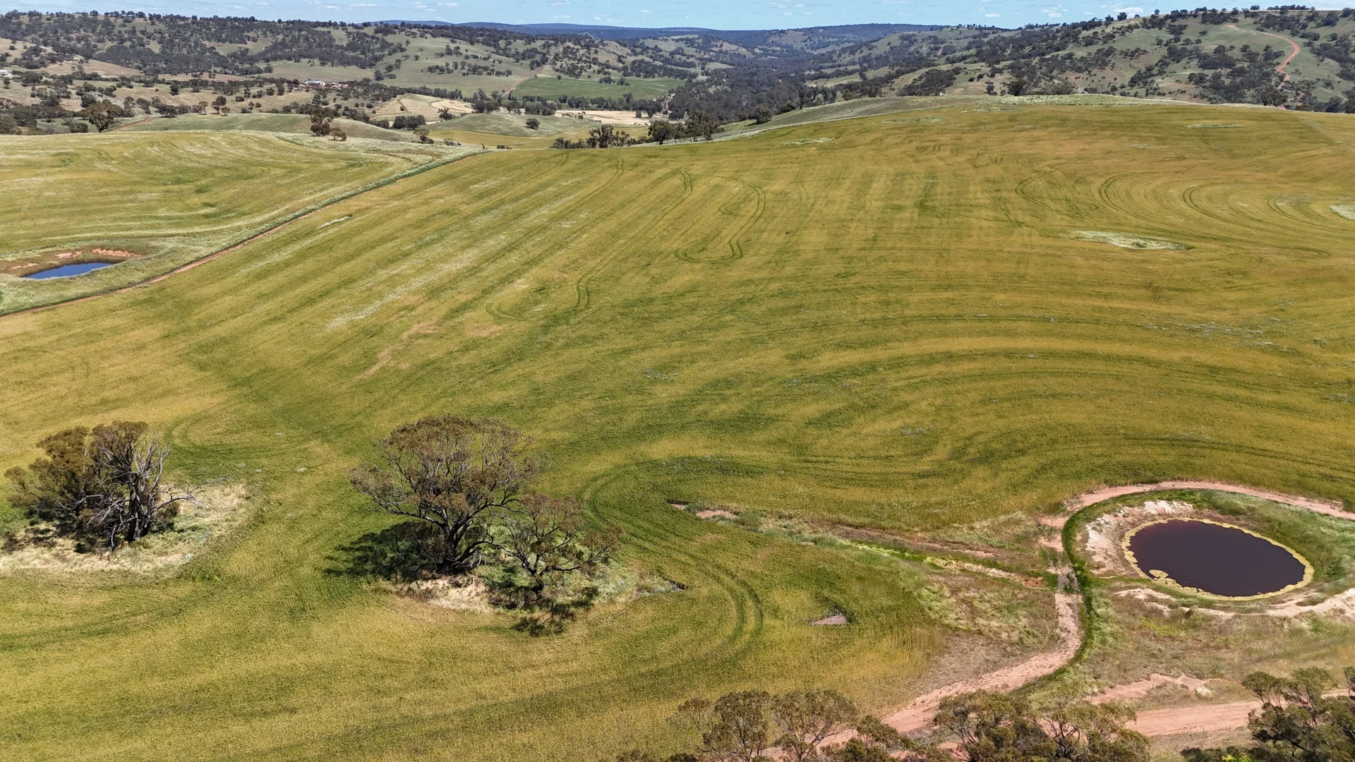 Additional image 11 of 180 Nottingham Road, Toodyay WA 6566