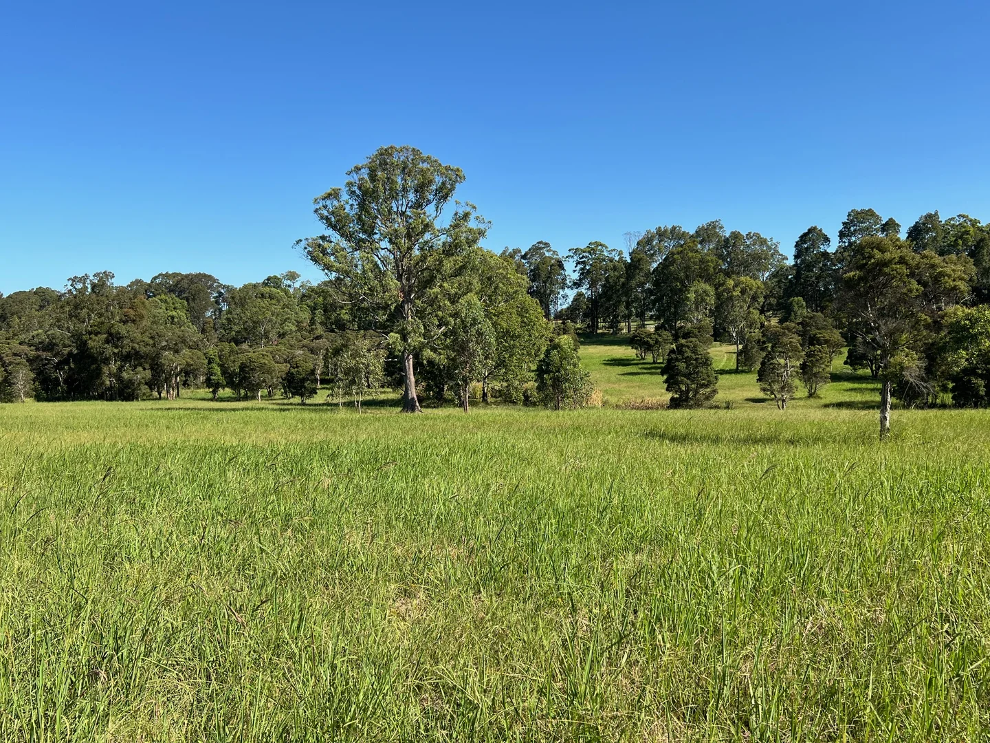 Additional image 6 of 64 Mooral Creek Road, Cedar Party NSW 2429