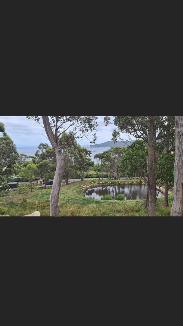 Additional image 3 of 153 White Beach Road, White Beach TAS 7184