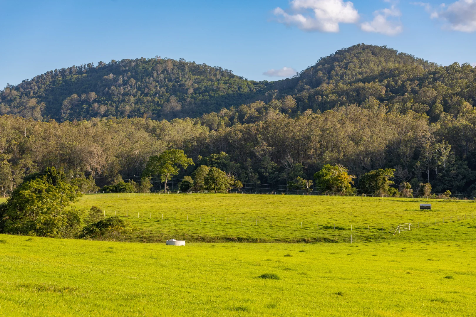 Additional image 23 of 424 Norwood Lane, Mount George NSW 2424