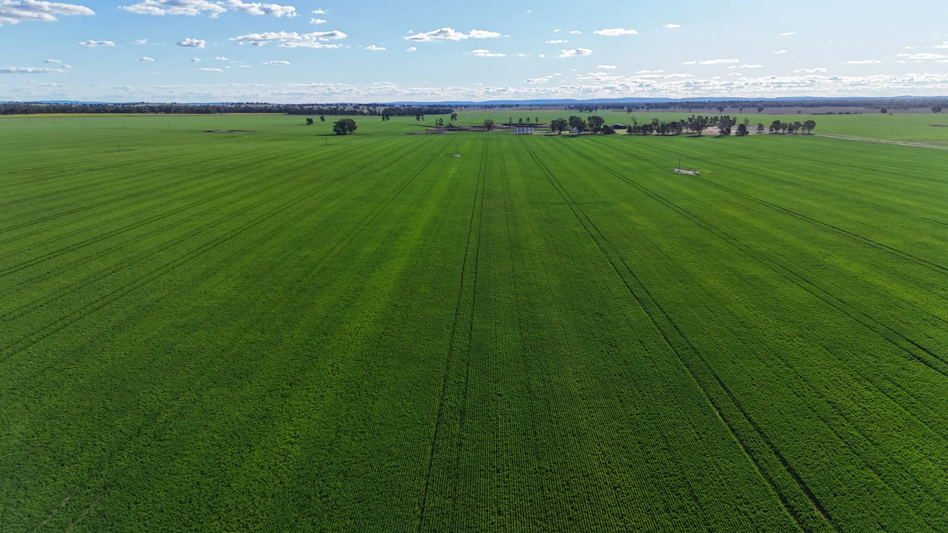 Additional image 6 of 92 Millers Lane, Parkes NSW 2870