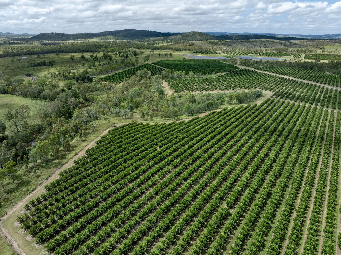 Additional image 31 of 100 Sandersons Lane, Mundubbera QLD 4626