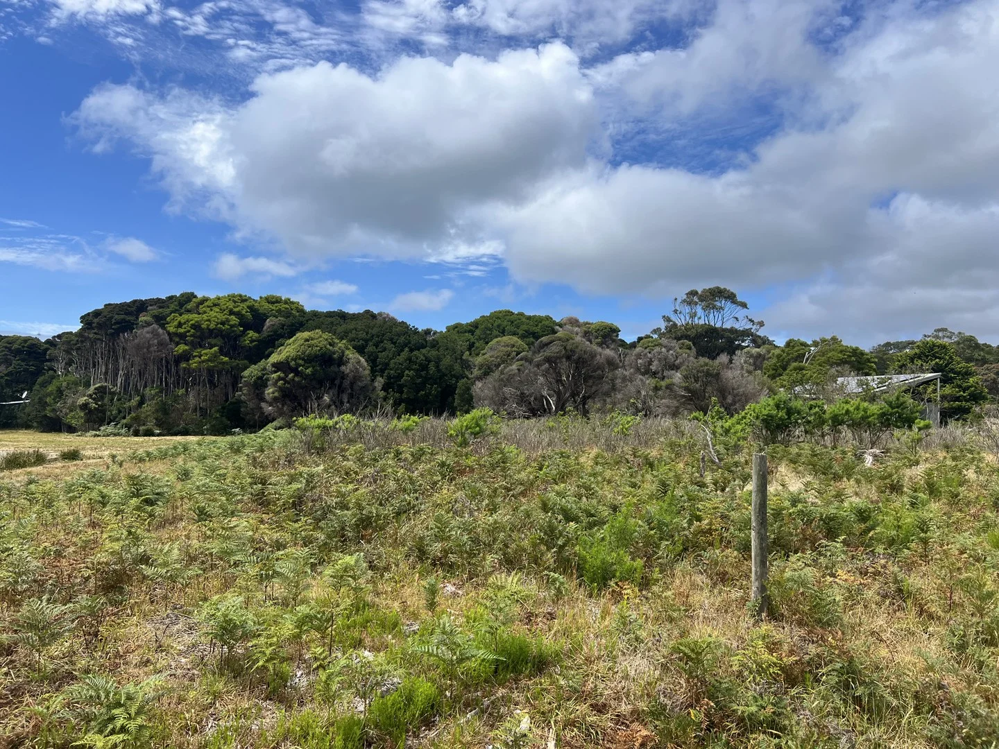 Additional image 2 of 14 Rankins Road, Naracoopa TAS 7256