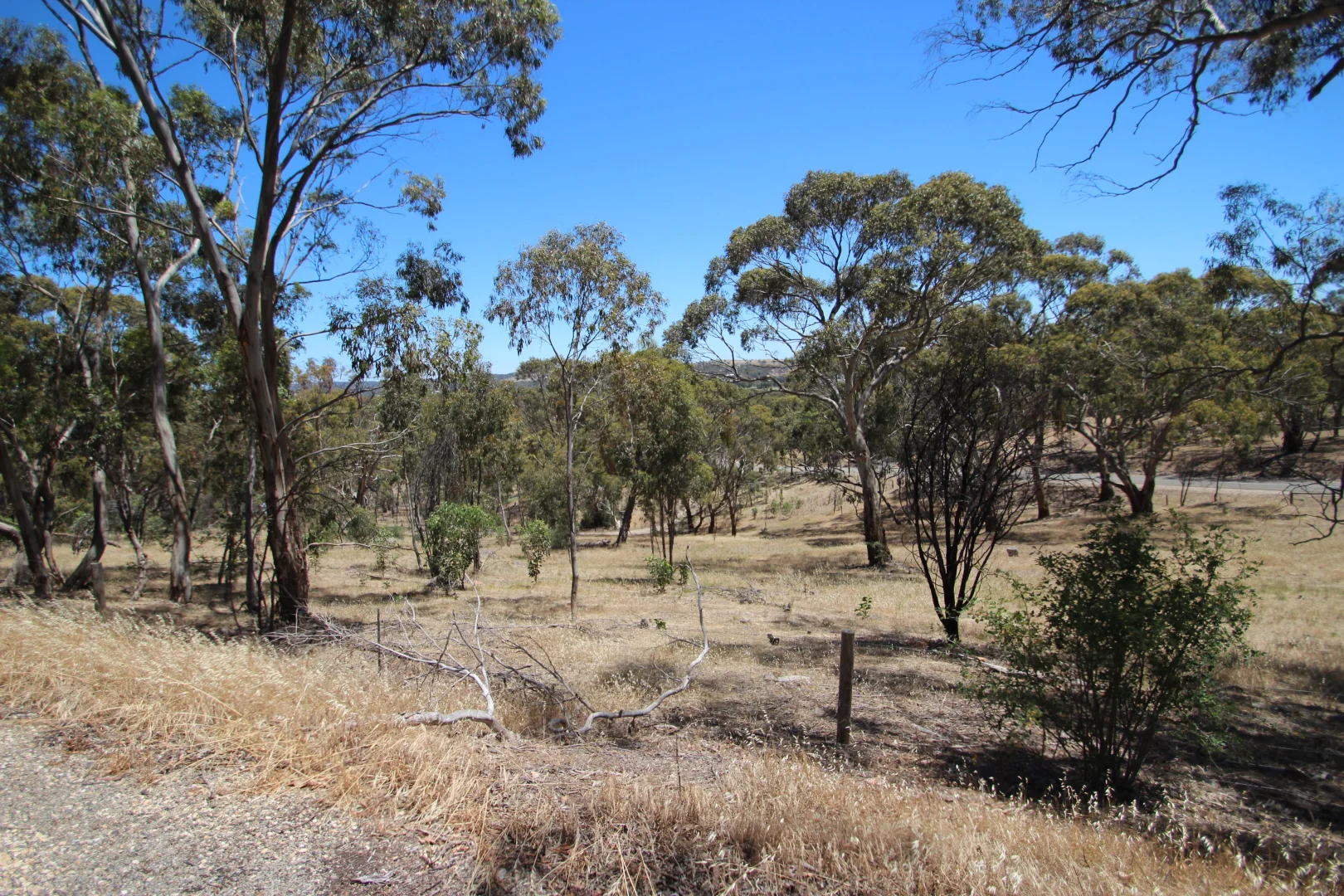 Additional image 22 of Lot 44 Norman Drive, Stanley Flat SA 5453