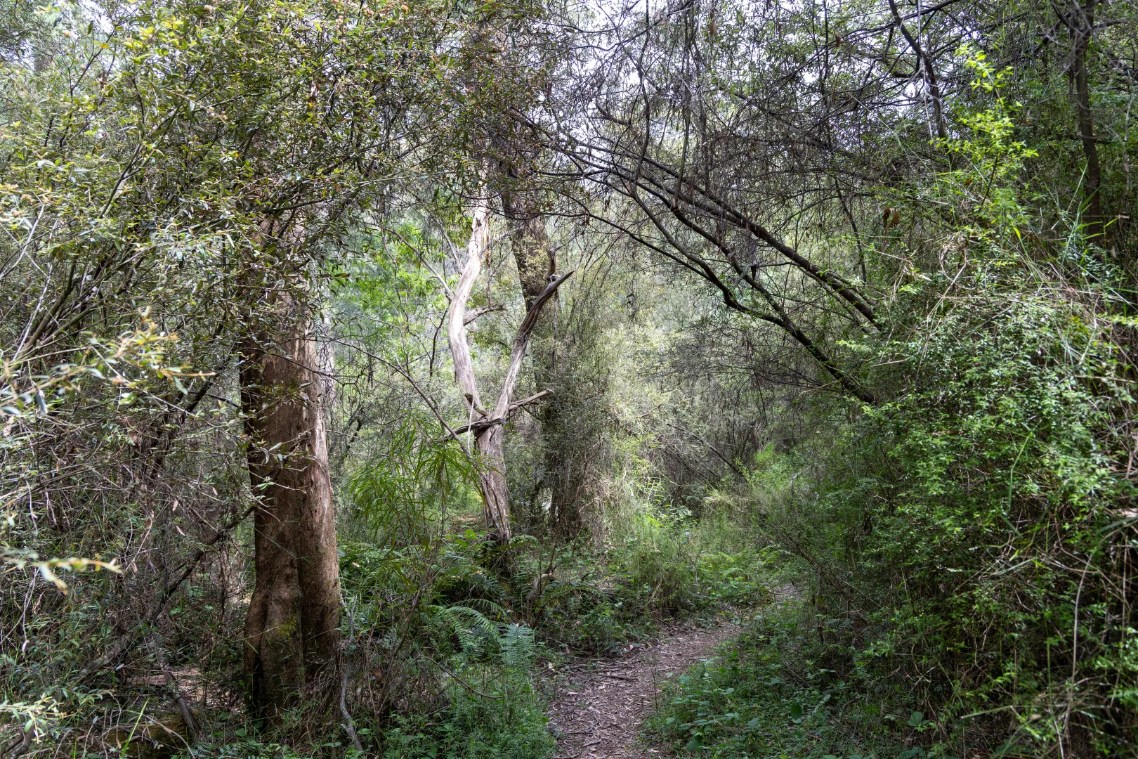 Additional image 9 of CA1 Mansfield-Woods Point Road, Knockwood VIC 3723