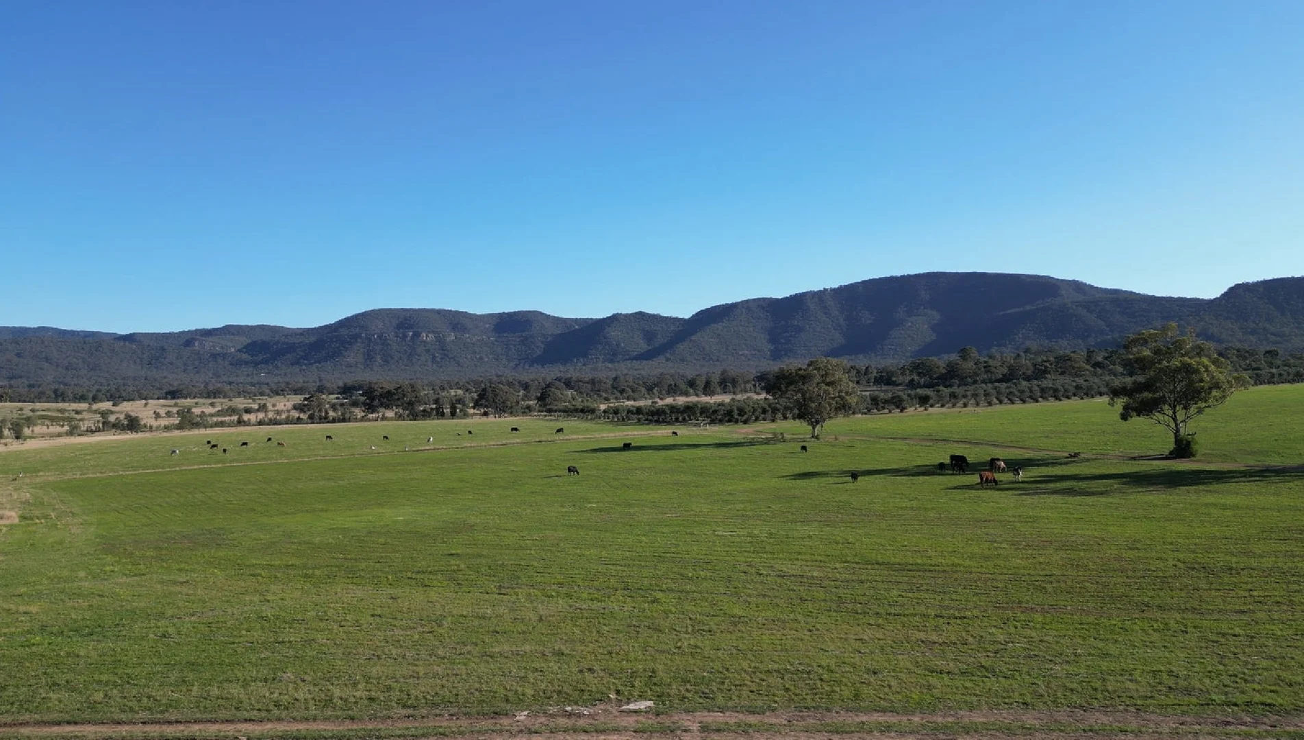 Additional image 62 of 207 Redmanvale Road, Jerrys Plains NSW 2330