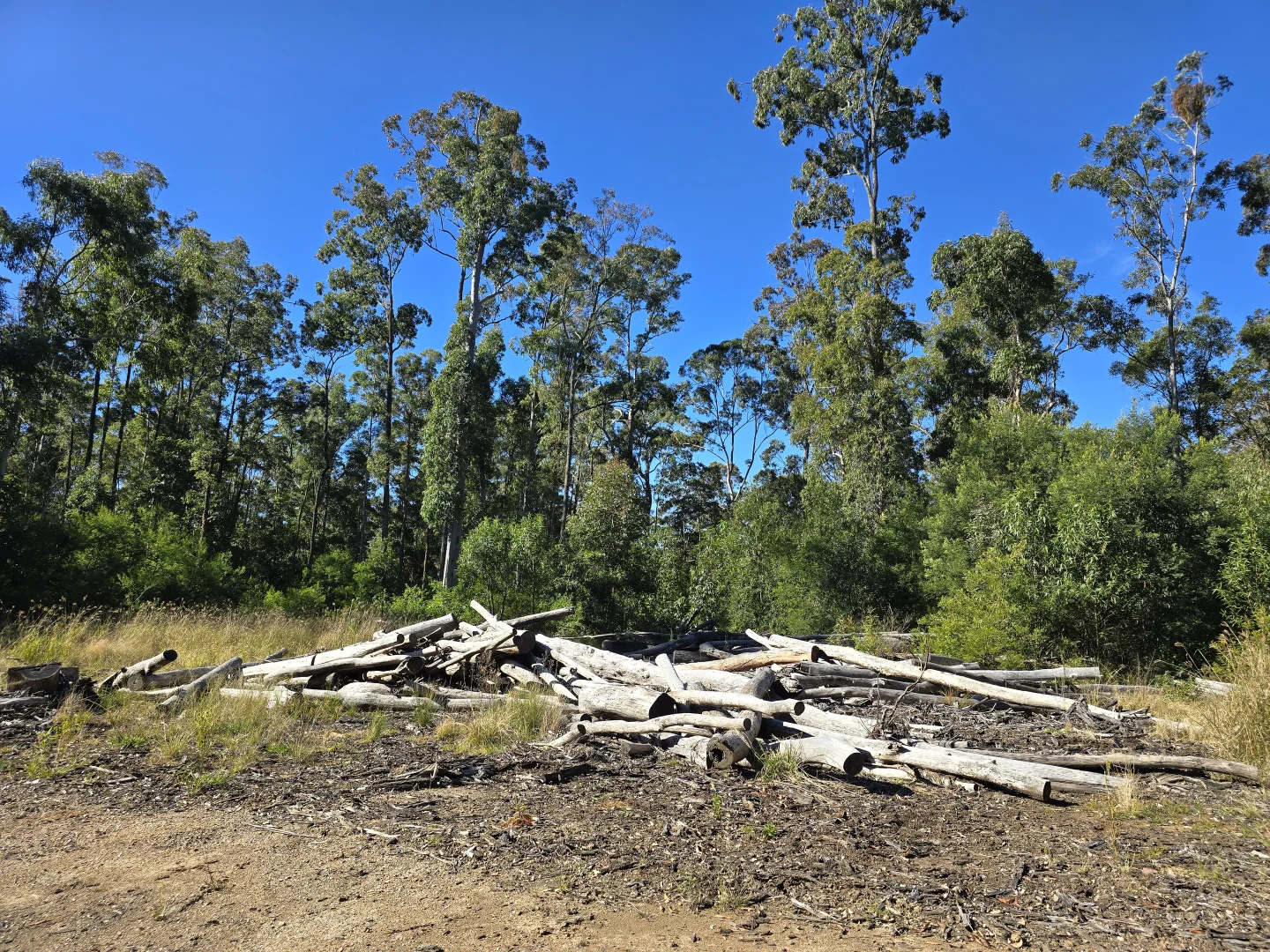 Additional image 15 of 0 SUNDAY CREEK ROAD, Jimna QLD 4515