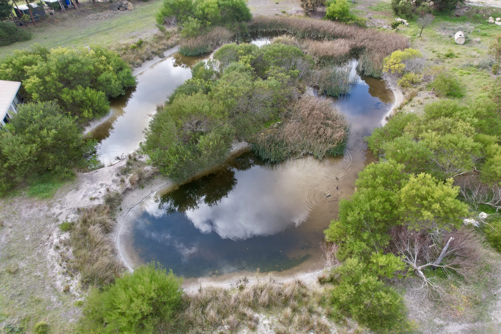 Additional image 6 of 71 Ringwood Drive, Beachport SA 5280