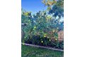 Additional image 52 of 879 Derby St, Corona, CA, 92882