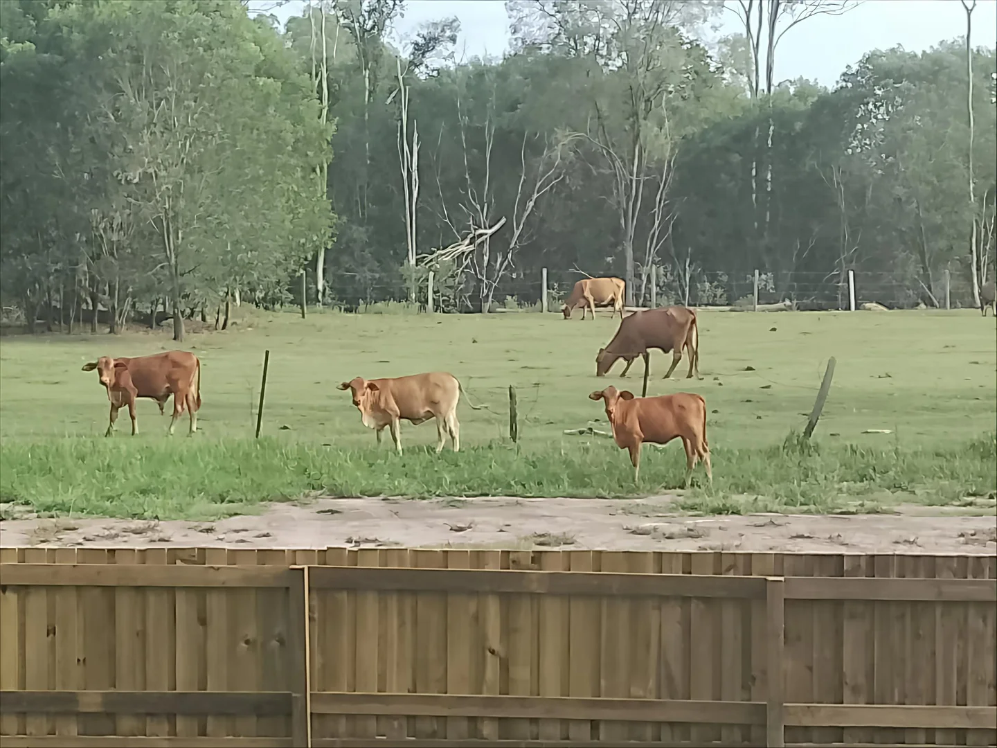 Additional image 23 of 1071 Mungar Road, Mungar QLD 4650