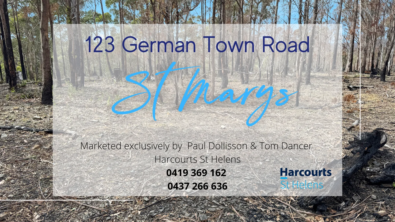 Additional image 13 of 123 German Town, St Marys TAS 7215